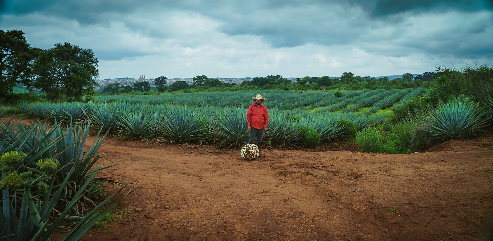 Film production in Mexico